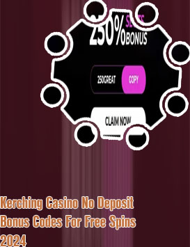 Slots village no deposit bonus codes 2024
